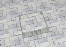 LEO-06