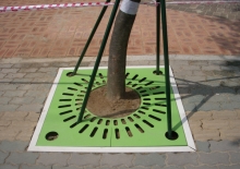 α