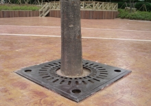 õ  